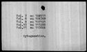 00019958.jpg