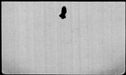 00050404.jpg