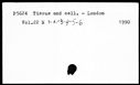 00025337.jpg