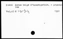 00028251.jpg