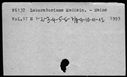 00095461.jpg