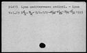 00095481.jpg