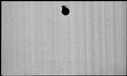 00095896.jpg
