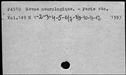 00095899.jpg