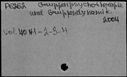 00039133.jpg