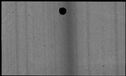 00039474.jpg