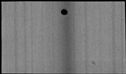 00039596.jpg