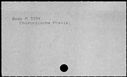 00107803.jpg