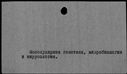 00008070.jpg
