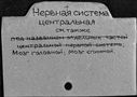 00040763.jpg
