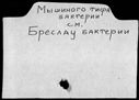 00014400.jpg