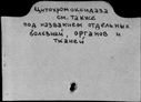 00068447.jpg
