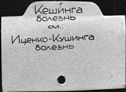 00575297.jpg