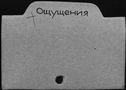 00415303.jpg