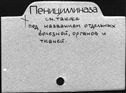 00503875.jpg
