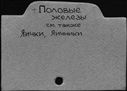00562970.jpg