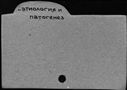 00935941.jpg