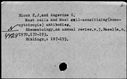 00943809.jpg