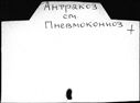 00944939.jpg