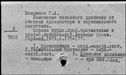 00919257.jpg