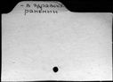 00978139.jpg