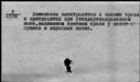 00985444.jpg