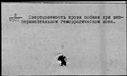 00985448.jpg