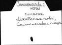 00996163.jpg