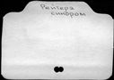 00531859.jpg
