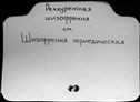 00531980.jpg