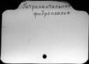 00678239.jpg