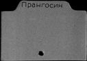 01004531.jpg