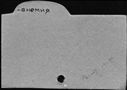 00947245.jpg