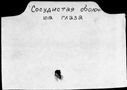 01068065.jpg