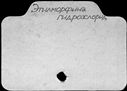 00864131.jpg