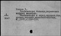 00917384.jpg