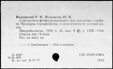 Нажмите, чтобы посмотреть в полный размер