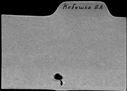 00037015.jpg