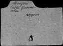 00041914.jpg