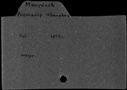 00041950.jpg