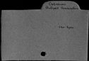 00048290.jpg