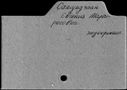 00048677.jpg
