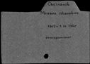 00048905.jpg