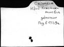 00050907.jpg