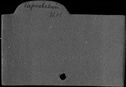 00054494.jpg