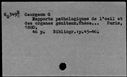 00051953.jpg