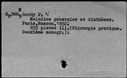00052251.jpg