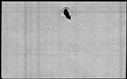 00069240.jpg
