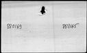 00070302.jpg
