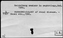 00080047.jpg